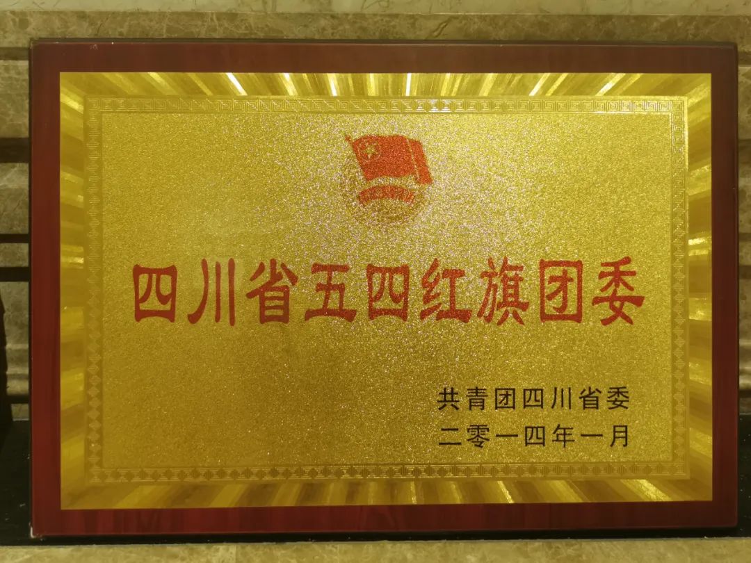 【党团活动】百年青春逢盛世 凝心聚力踏征程——深圳市四川商会团委组织企业收听收看庆祝中国共青团成立100周年大会(图4) 3-220F314163c58.jpg