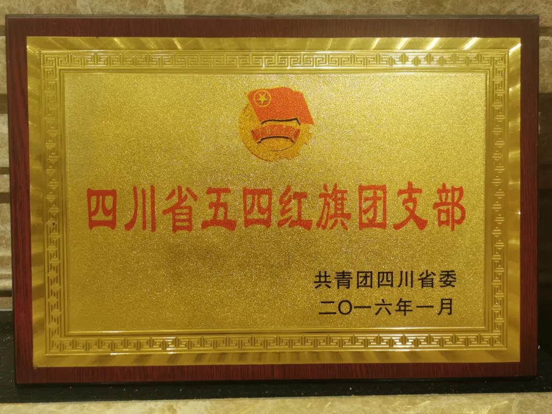 【党团活动】百年青春逢盛世 凝心聚力踏征程——深圳市四川商会团委组织企业收听收看庆祝中国共青团成立100周年大会(图5) 3-220F314164YH.jpg