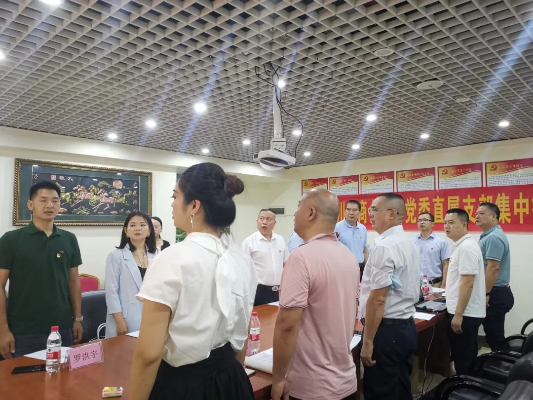 【党团工作】深圳市川渝商会联合党委直属支部集中换届动员大会顺利召开(图2) 3-220F3144052619.jpg