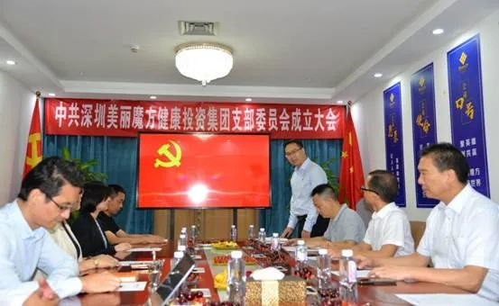 深圳美丽魔方健康集团党支部成立大会顺利召开(图3)