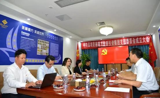 深圳美丽魔方健康集团党支部成立大会顺利召开(图4)