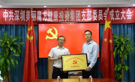 深圳美丽魔方健康集团党支部成立大会顺利召开(图5)